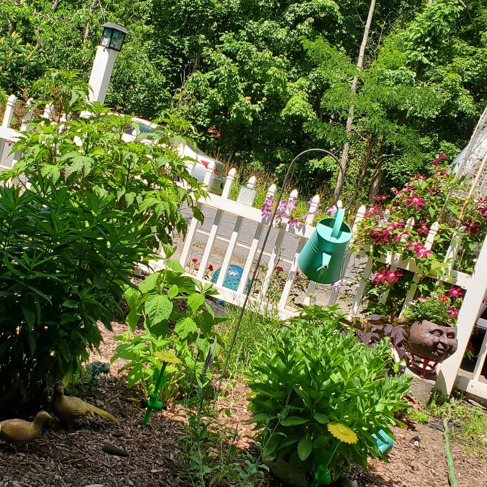 Meet your Posher, Tyroneburg